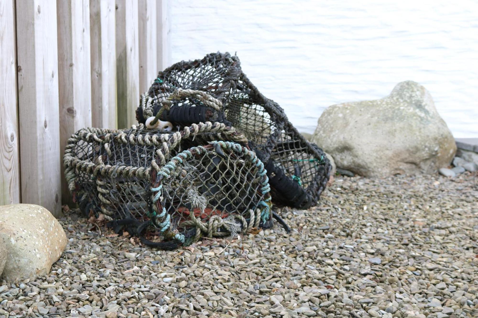 Penlan Coastal Cottages - Cornerstone Aberporth Bagian luar foto